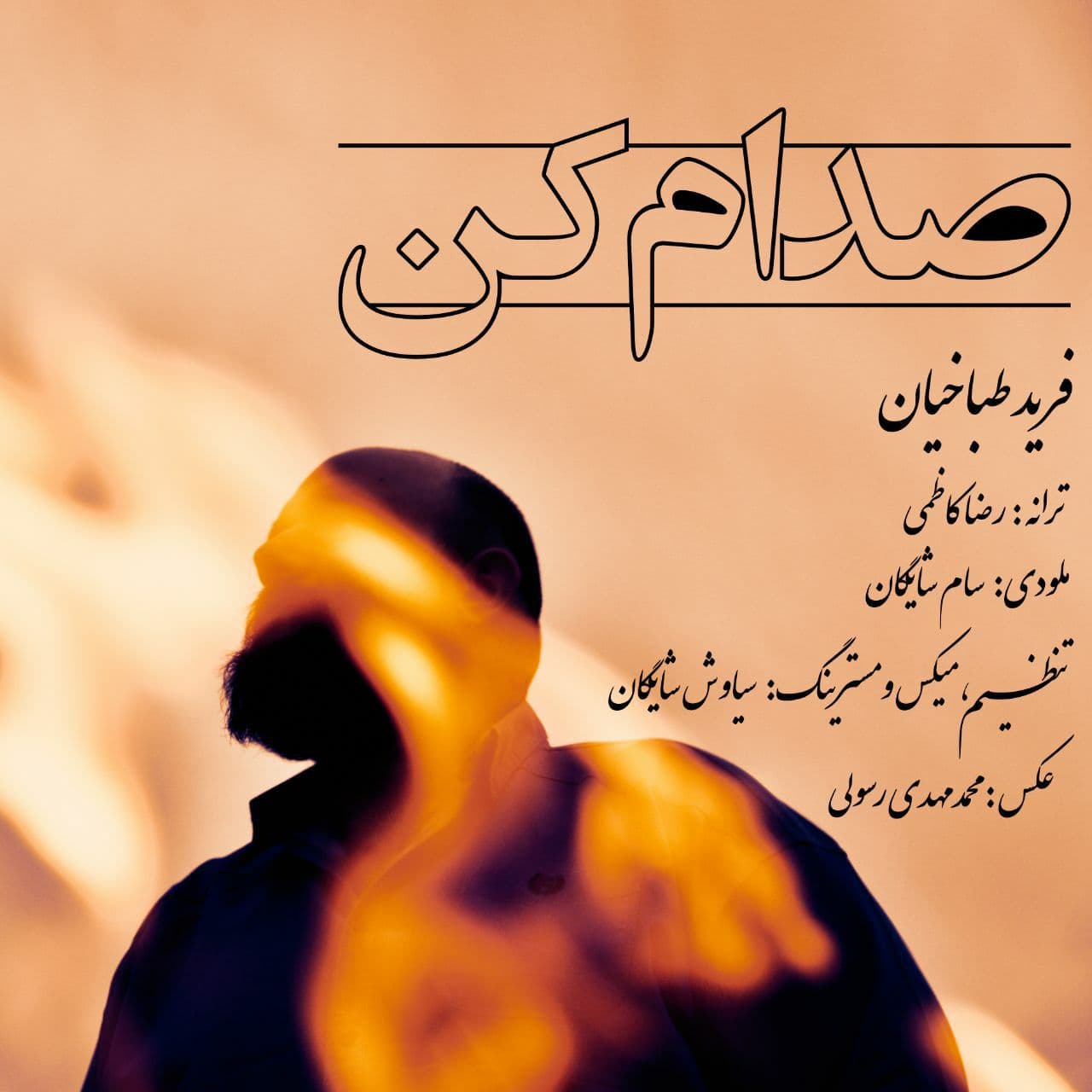 دانلود آهنگ فرید طباخیان صدام کن